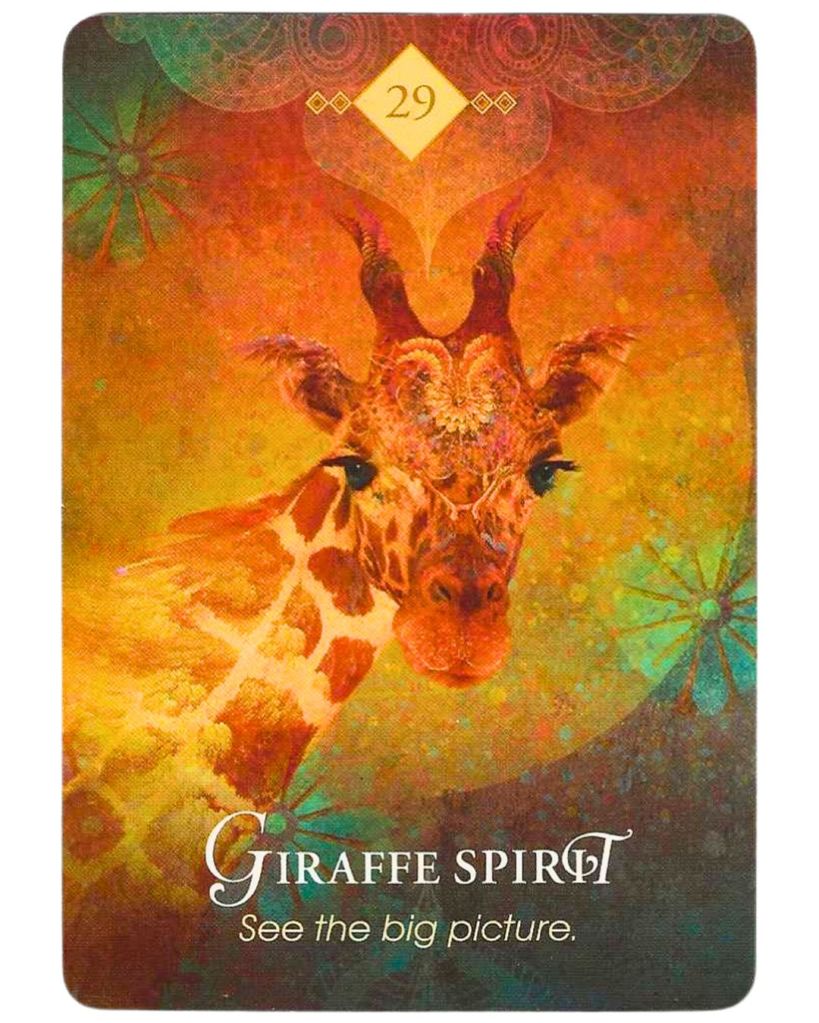 tarot cards, oracle cards, spiritual guidance, card readings, perspective